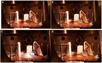 Survival of an Antarctic cyanobacterial mat under Martian conditions